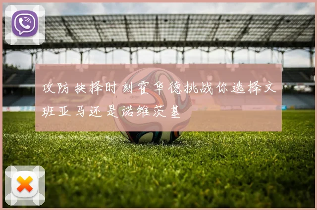 攻防抉择时刻霍华德挑战你选择文班亚马还是诺维茨基